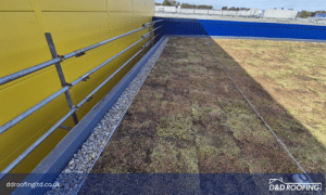 Close-up view of the installed sedum green roof at IKEA Leeds, showing lightweight vegetation over Protan membrane with gravel perimeter edging.